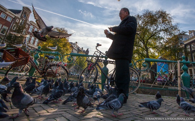 Dobrodošli-u-Amsterdam-biciklistički-raj-10