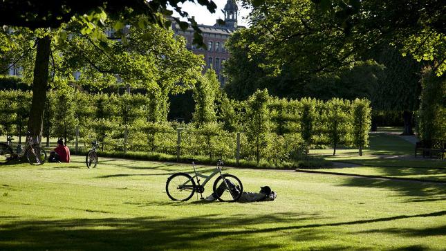 cycling-kongens-have