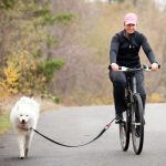 Vožnja bicikla u društvu psa