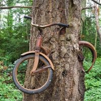 1914. godine momak je naslonio bicikl na drvo i odtišao u rat… Priča o čuvenom biciklu uraslom u stablo