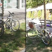 Novosađani, ne vezujte bicikle za drveće