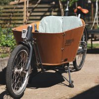 Cargo bike